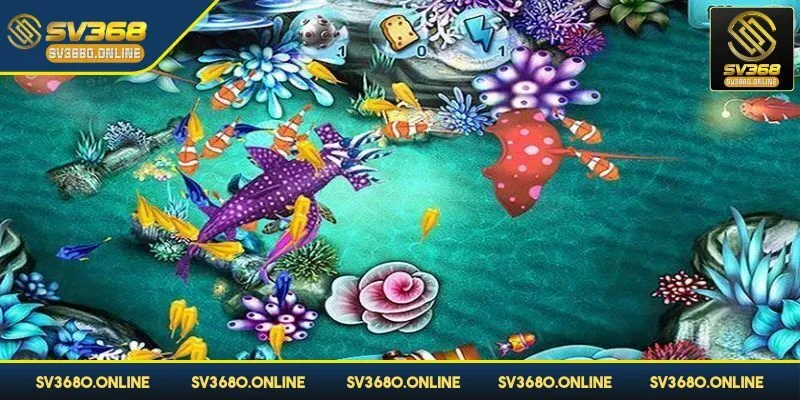 Bạn cần chọn thời điểm đi săn thích hợp nhất