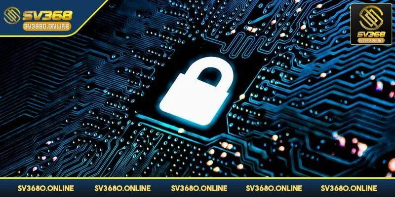 SV368 cam kết hoạt động hoàn toàn hợp pháp