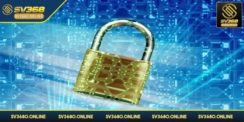 SV368 có quyền thu thập cũng như lưu trữ thông tin của hội viên