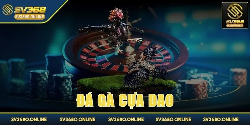 da ga cua dao anh dai dien