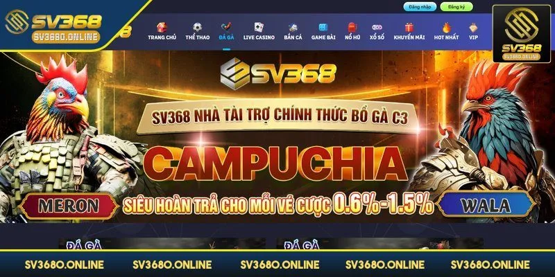 Đá gà cựa dao một bộ môn vô cùng hấp dẫn