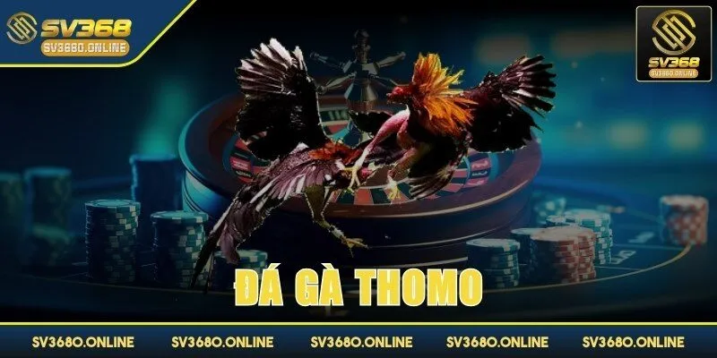 da ga thomo anh dai dien