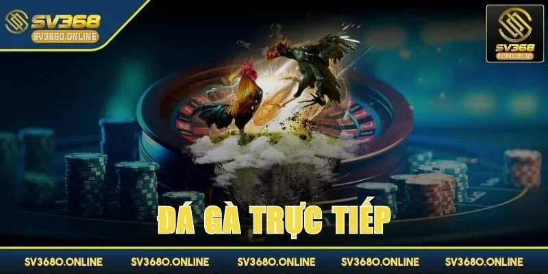 da ga truc tiep anh dai dien